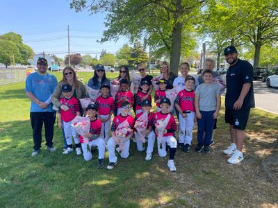 Queens Vipers Baseball
