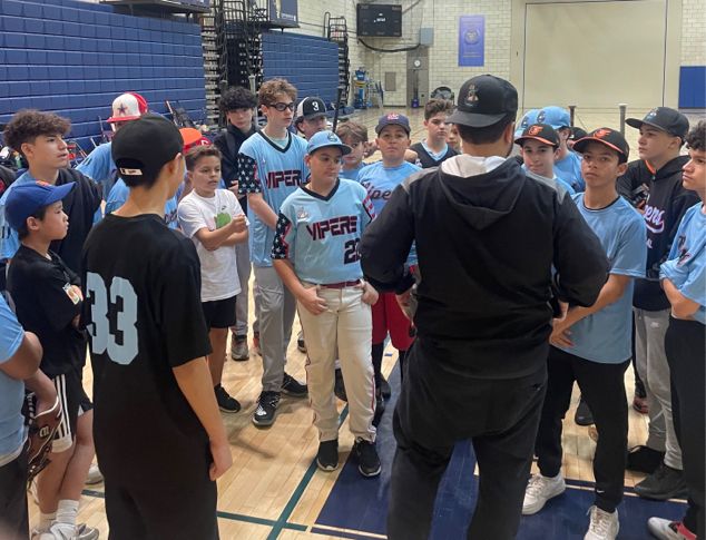 Queens Vipers Baseball – About Us / History
