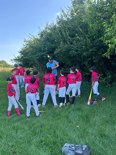 Queens Vipers Baseball