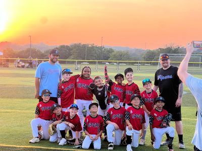 Queens Vipers Baseball