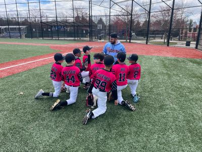 Queens Vipers Baseball