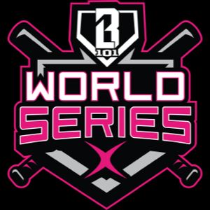 14U Baseball lifestyle 101 World Series championship