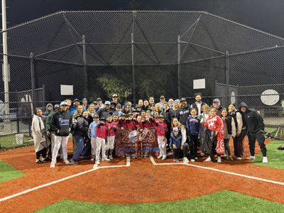 Queens Vipers Baseball