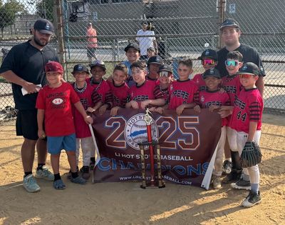 Queens Vipers Baseball
