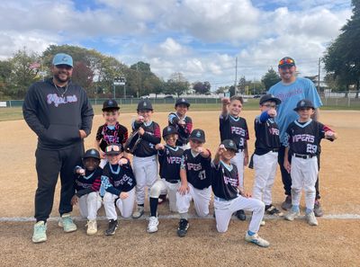 Queens Vipers Baseball