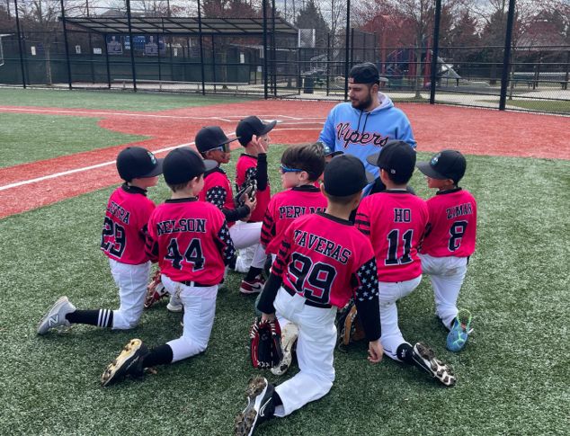 Queens Vipers Baseball – About Us / History